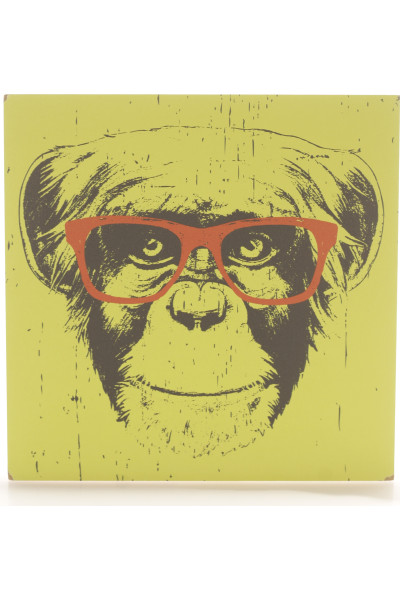 Obrázek Do Rámečku Opice