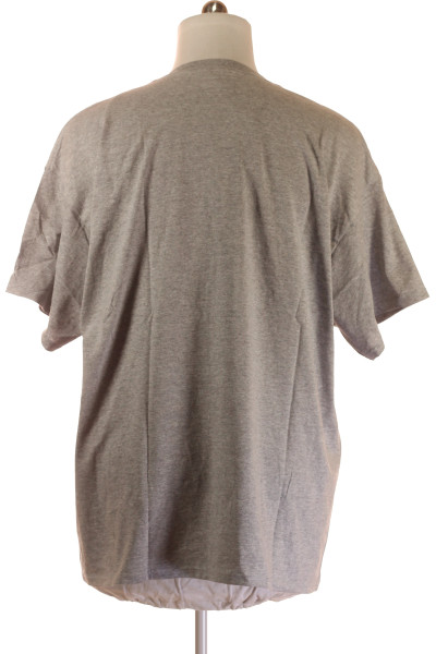 BDG Pánské stylové tričko s potiskem, šedé, volný střih