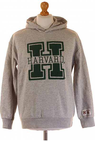 Chlapecká Mikina Šedá