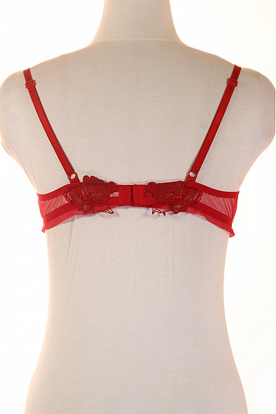 LISE CHARMEL Dámská krajková průsvitná podprsenka červená Vel. 80B | LISE CHARMEL | obrázek 3