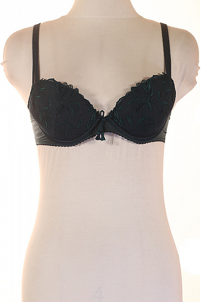 AUBADE Dámská krajková push up podprsenka zelená | AUBADE | obrázek 2