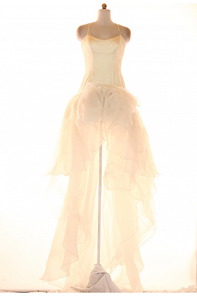 Svatební šaty  Šaty Béžové