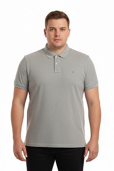 Pánské Tričko s Límečkem Šedé GANT