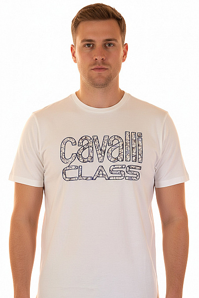 Pánské Tričko S Potiskem Stříbrné Cavallo Vel. XL