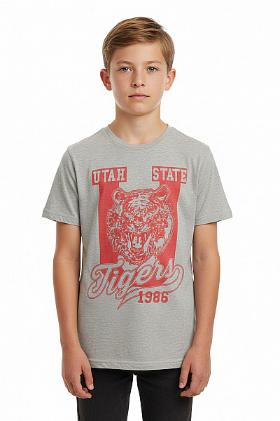 Chlapecké Tričko Šedé GEORGE. Second Hand