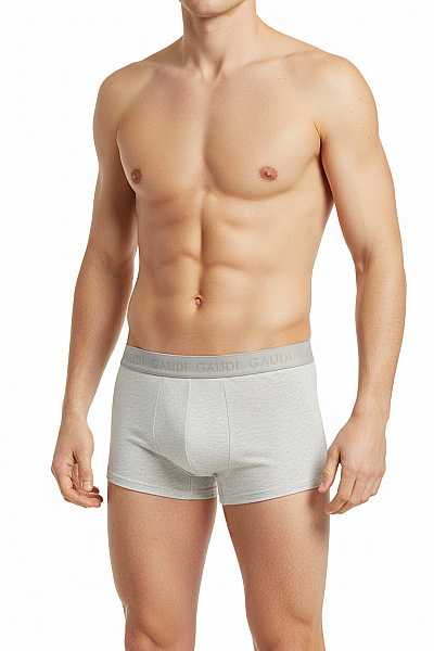 Pánské Spodní Prádlo Šedé GAUDI Vel. S