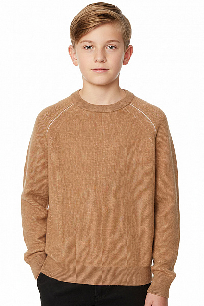 Chlapecký Svetr Hnědé Hugo Boss