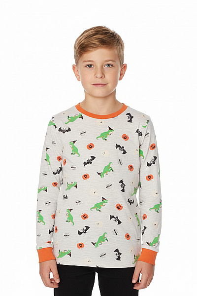 Dětské Chlapecké Triko S Dlouhým Rukávem šedé S Potiskem Dinosaurů Velikost 122/128