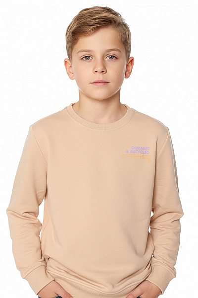 Vingino Dětská Chlapecká Mikina S Potiskem Béžová Vel. 152