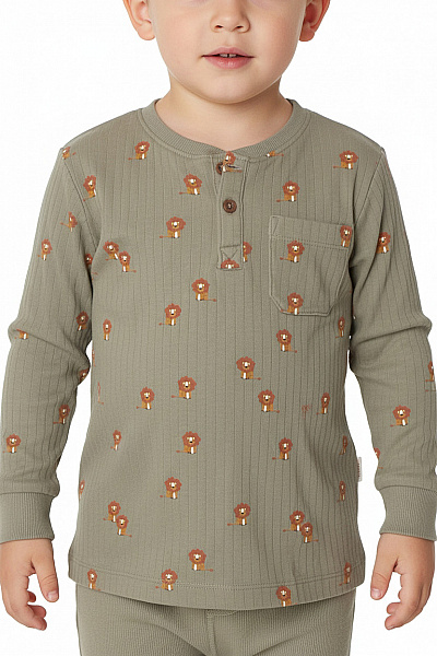 Next Dětské Tričko S Dlouhým Rukávem A Potiskem Lvů Vel. 2/3 Roky