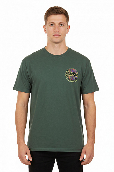 Hollister Pánské Tričko S Krátkým Rukávem A Potiskem Zelené Velikost Xl