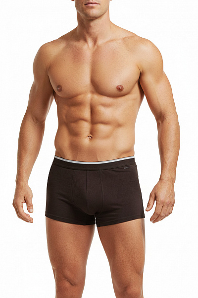 Skiny Pánské Bavlněné Boxerky Hnědé