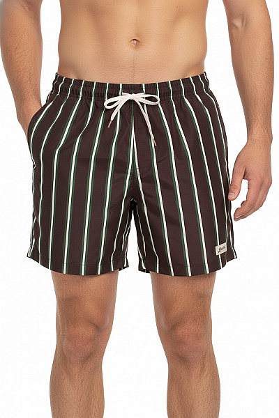 Bather Pánské Koupací Kraťasy Pruhované Volnočasové Hnědé