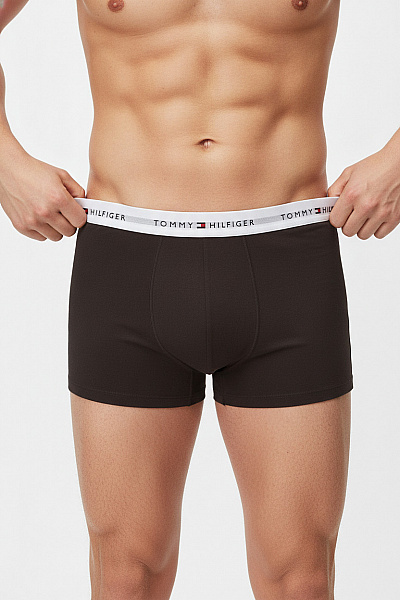 TOMMY HILFIGER Pánské Spodní Prádlo