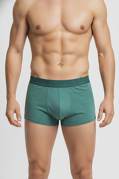 BIKKEMBERGS Pánské Boxerky Zelené Měkké Velikost L