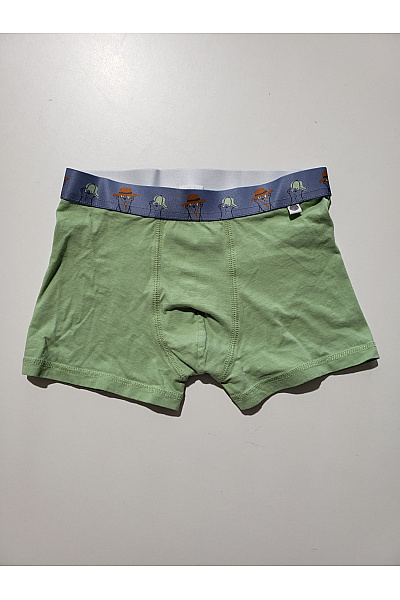 Sanetta Chlapecké bavlněné boxerky khaki s potiskem Vel. EU 140 | Sanetta | obrázek 2