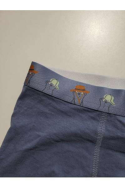 Sanetta Chlapecké bavlněné boxerky s potiskem modré Vel. EU 140 | Sanetta | obrázek 2