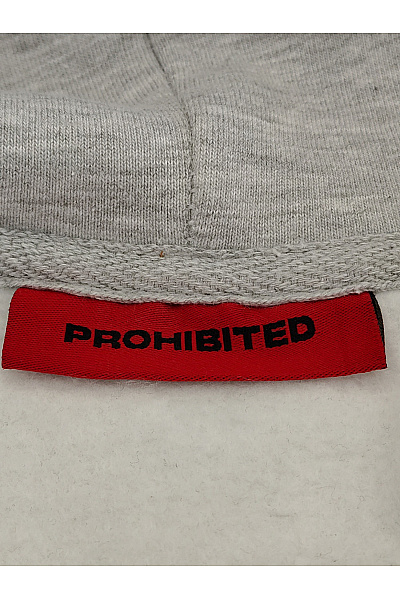 prohibited Pánská šedá bavlněná mikina s kapucí na zip Velikost L | prohibited | obrázek 4