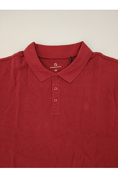 GENTLEMEN SELECTION Pánské bavlněné polo tričko s dlouhým rukávem červené Velikost DE 58 | GENTLEMEN SELECTION | obrázek 2