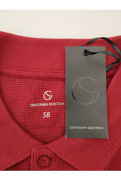 GENTLEMEN SELECTION Pánské bavlněné polo tričko s dlouhým rukávem červené Velikost DE 58 | GENTLEMEN SELECTION | obrázek 6