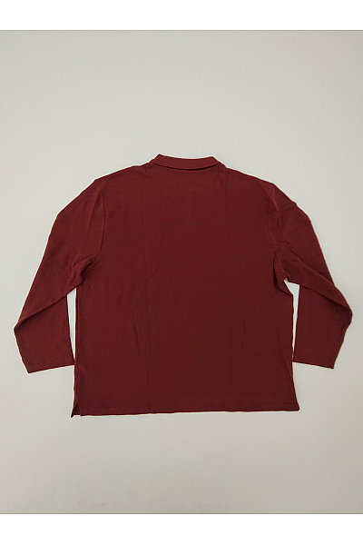 GENTLEMEN SELECTION Pánské bavlněné polo tričko s dlouhým rukávem červené Velikost DE 58 | GENTLEMEN SELECTION | obrázek 8