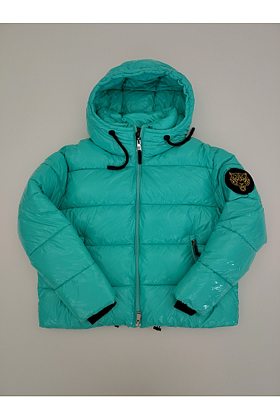 PLEIN SPORT Zelená prošívaná puffer bunda s kapucí Velikost IT 48 | PLEIN SPORT | obrázek 2